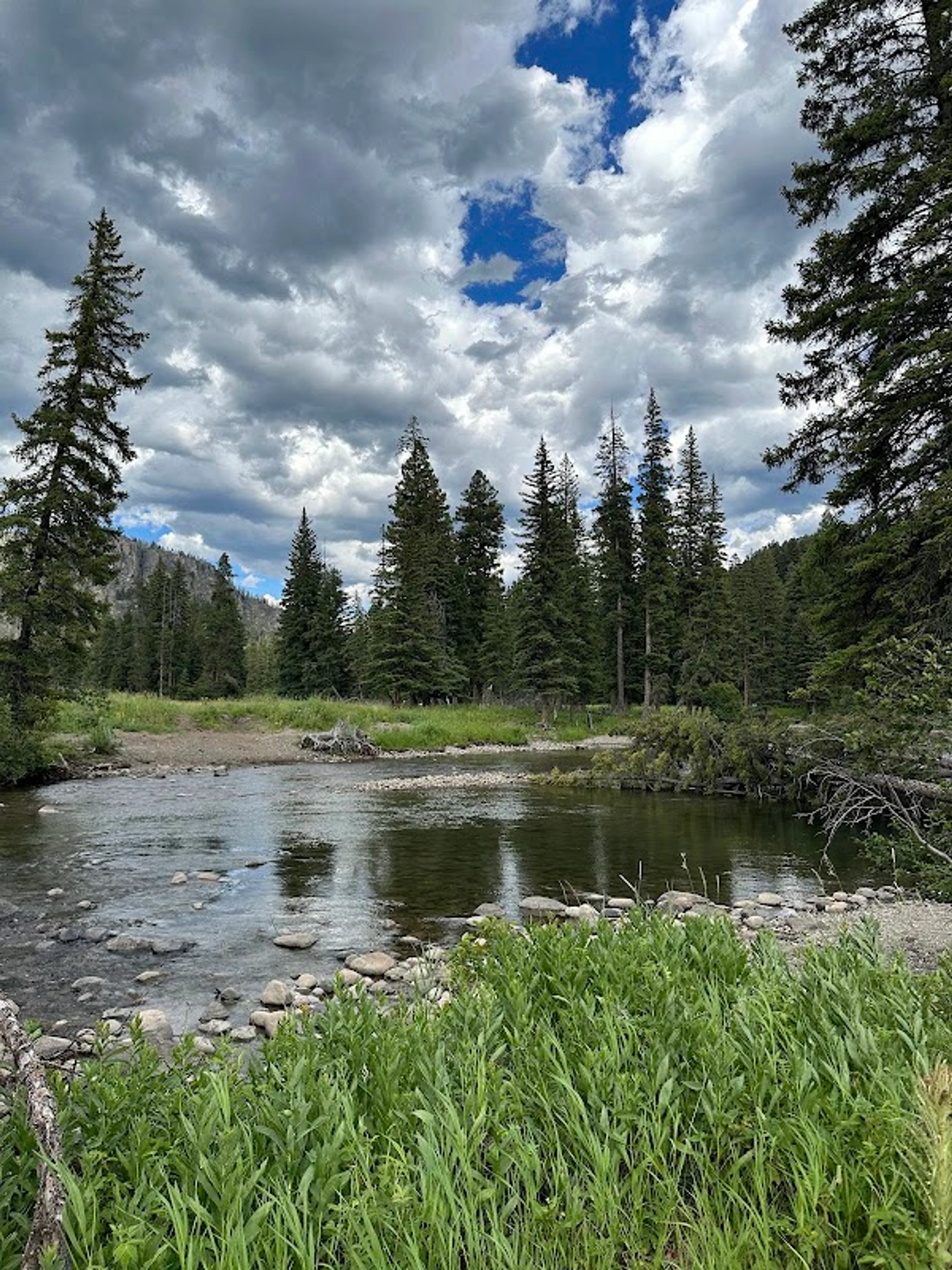 Slough Creek Campground